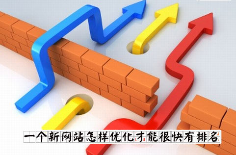 網站優(yōu)化排名圖片